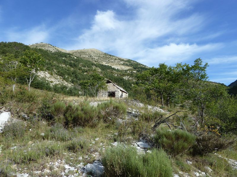 cheinet_2011_029.jpg