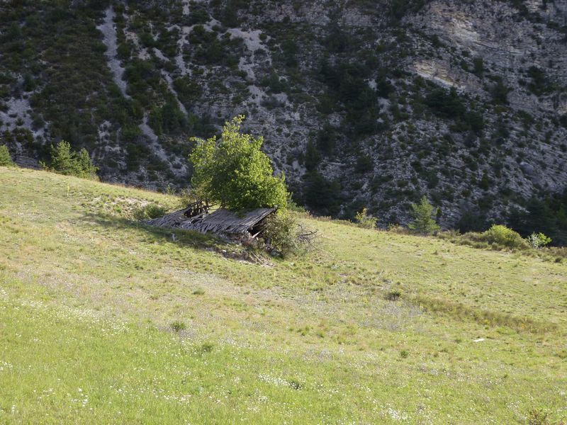 cheinet_2011_031.jpg