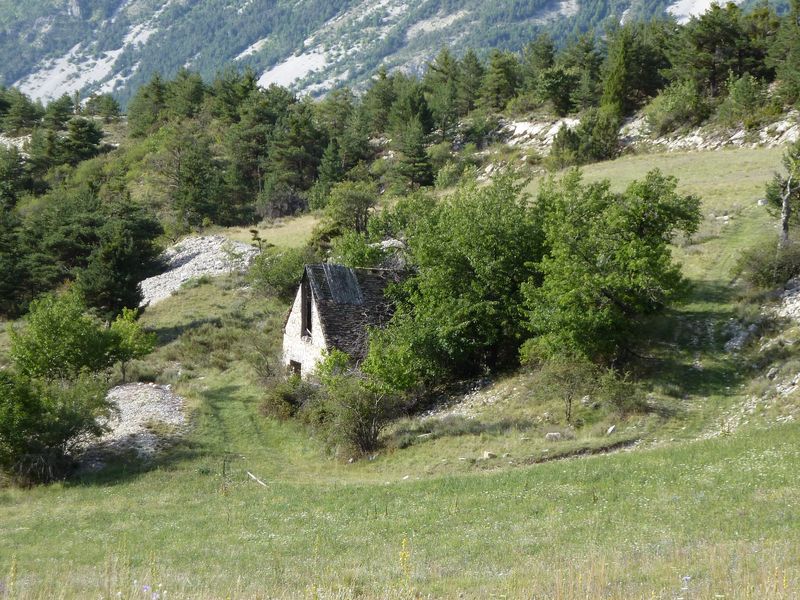 cheinet_2011_035.jpg
