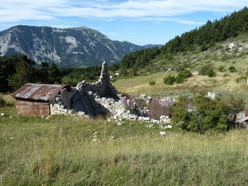 cheinet_2011_085.jpg