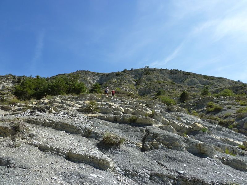 cheinet_2011_089.jpg