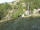 cheinet_2011_005.jpg