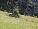 cheinet_2011_031.jpg