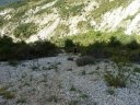 cheinet_2011_049.jpg