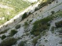 cheinet_2011_051.jpg