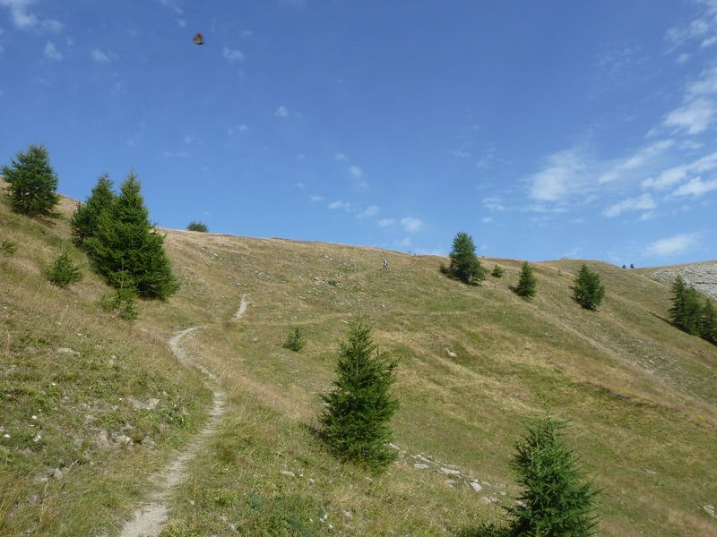 montagne_de_cheroueche_2011_074.jpg
