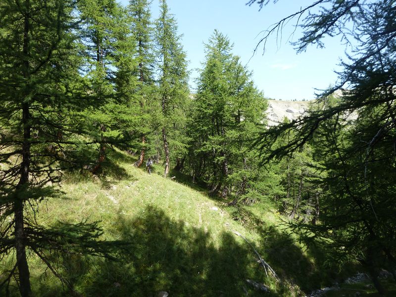 montagne_de_cheroueche_2011_084.jpg