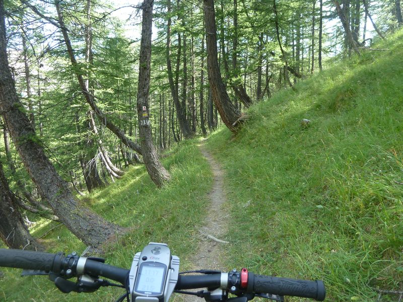 montagne_de_cheroueche_2011_086.jpg