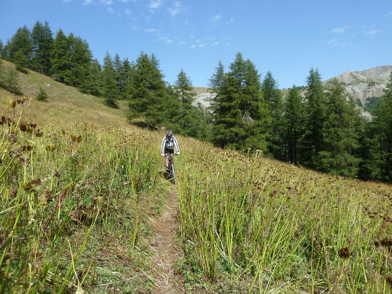 montagne_de_cheroueche_2011_088.jpg