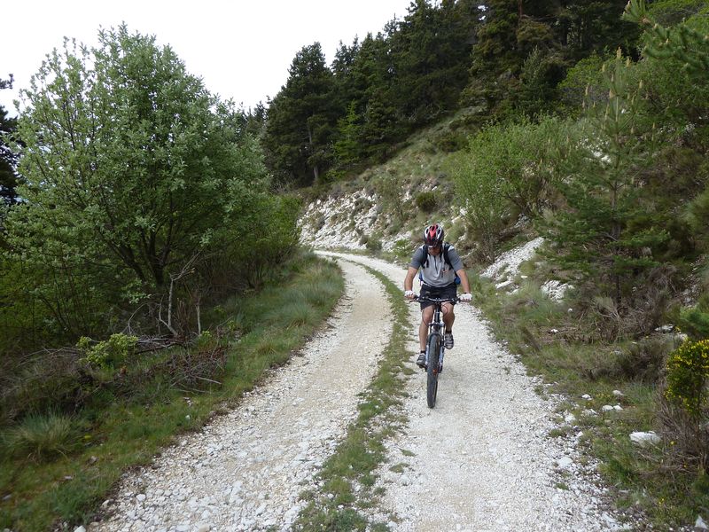 cheval_blanc_mai_2012_024.jpg
