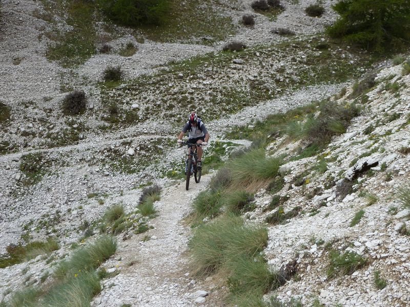 cheval_blanc_mai_2012_050.jpg