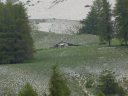 cheval_blanc_mai_2012_048.jpg