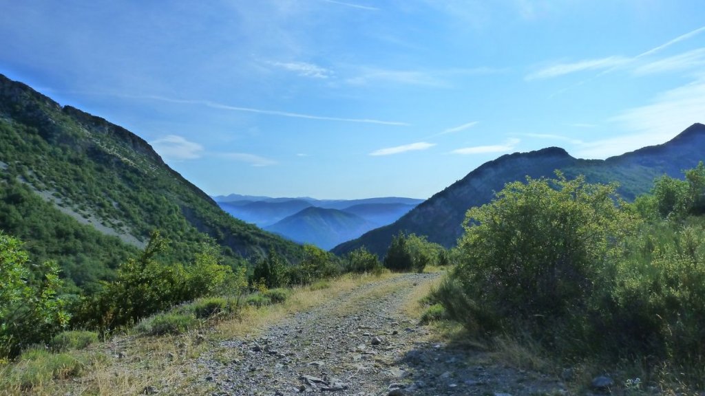 chiran_2013_026.jpg