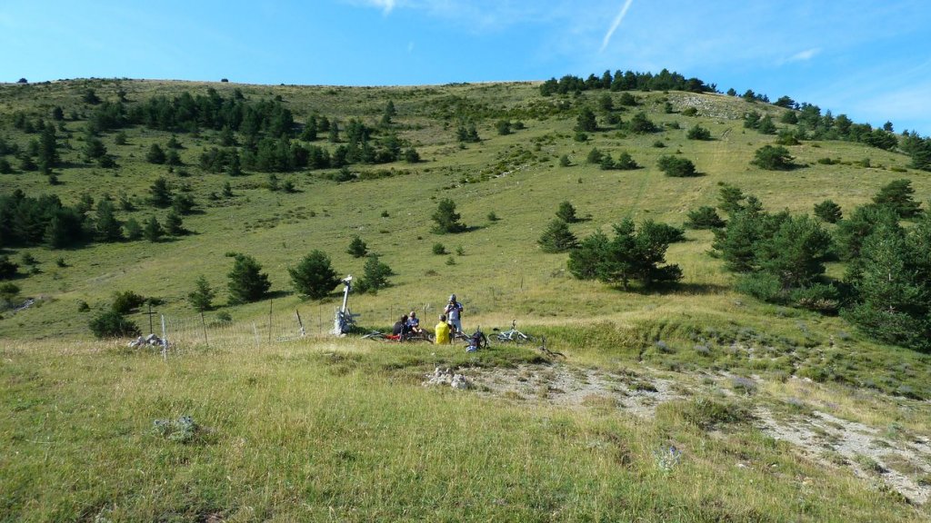 chiran_2013_038.jpg