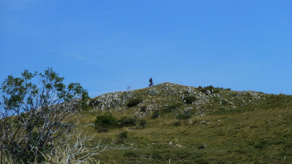 chiran_2013_062.jpg