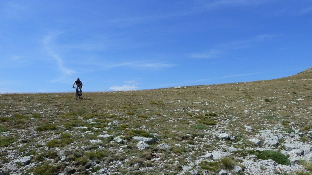 chiran_2013_092.jpg