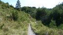 chiran_2013_044.jpg
