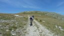 chiran_2013_068.jpg