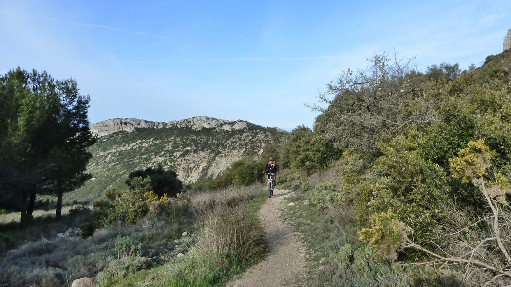 col_bertagne_avril_2015_252.jpg