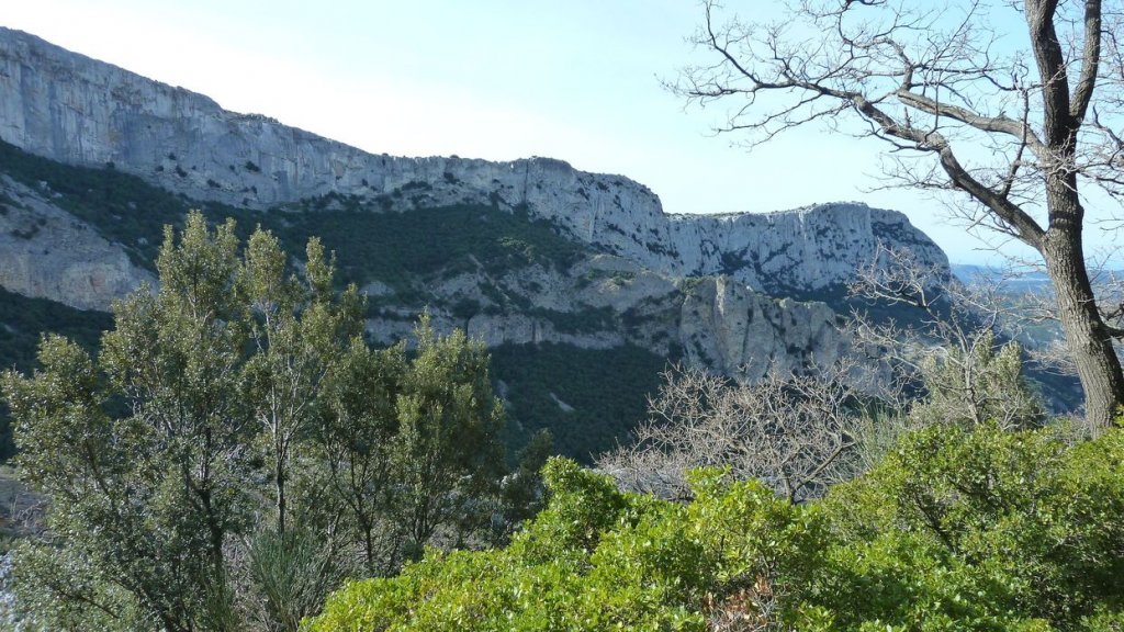 col_bertagne_avril_2015_576.jpg