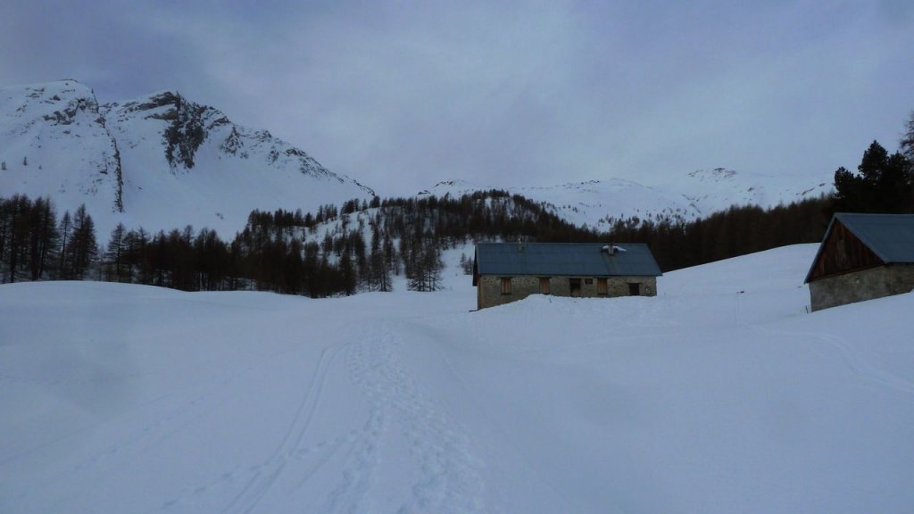 P1160999.JPG
