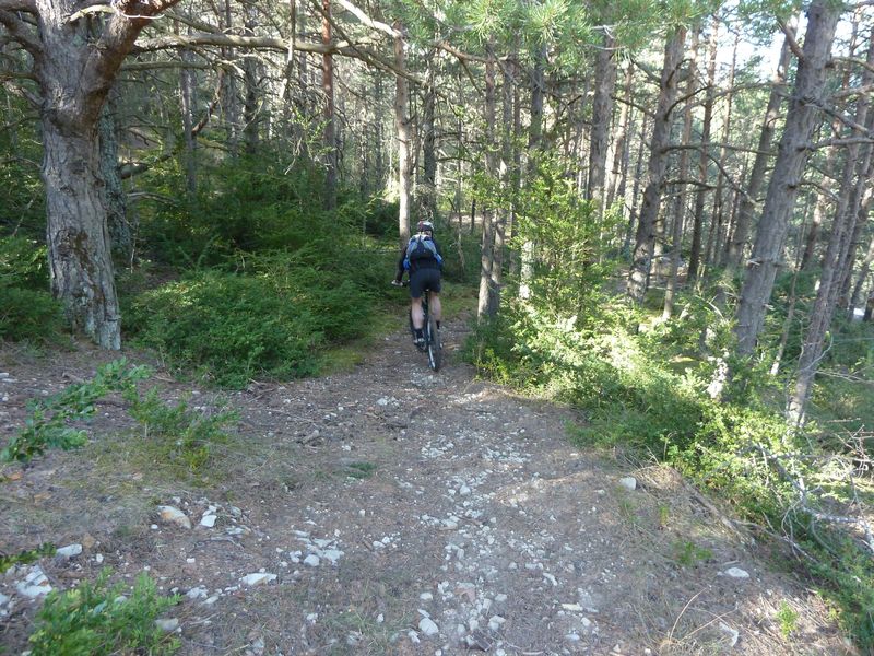 col_demandolx_mars_2012_083.jpg