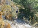 col_demandolx_mars_2012_069.jpg