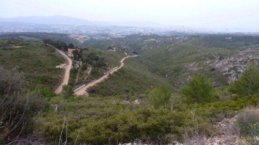 col_des_ouides_avril_2016_031.JPG
