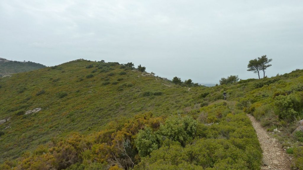 col_des_ouides_avril_2016_148.JPG