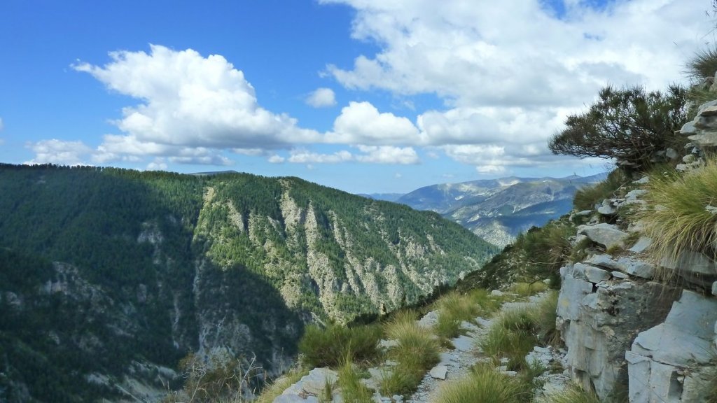 P1020001.JPG
