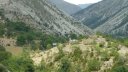 colmars-annot_juillet_2012_142.jpg