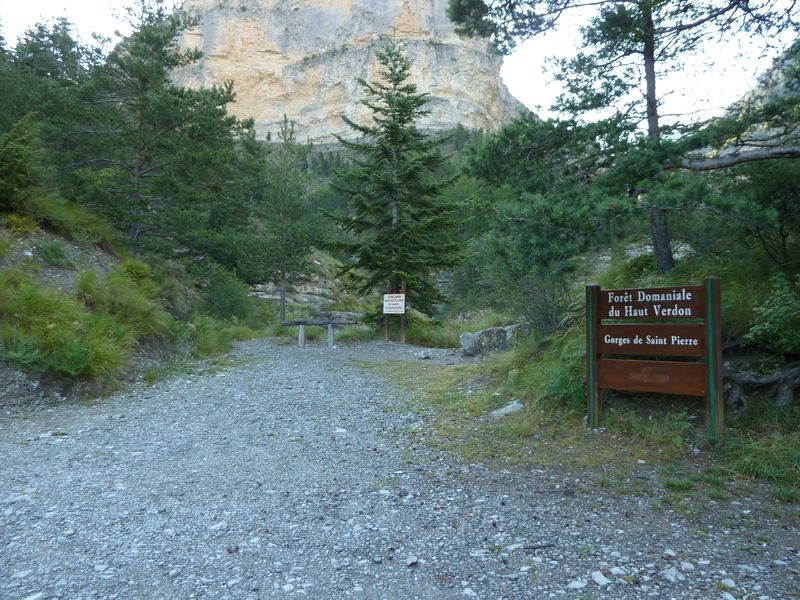 congerman_2011_001.jpg