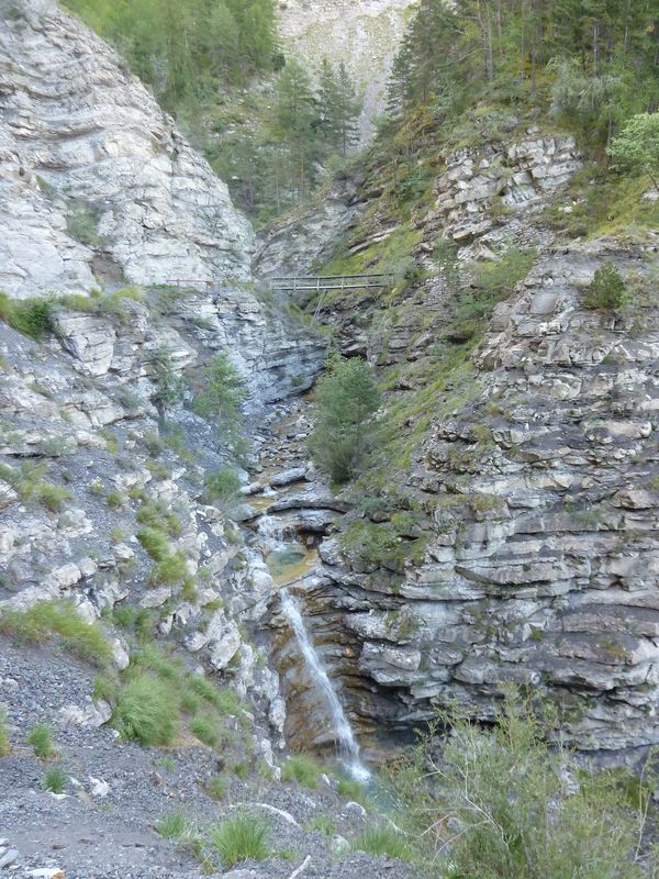 congerman_2011_007.jpg