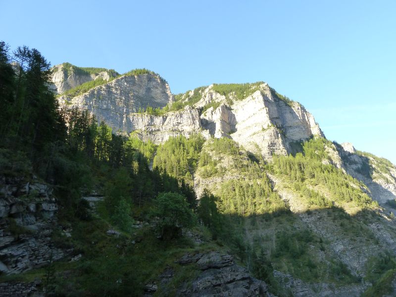 congerman_2011_011.jpg