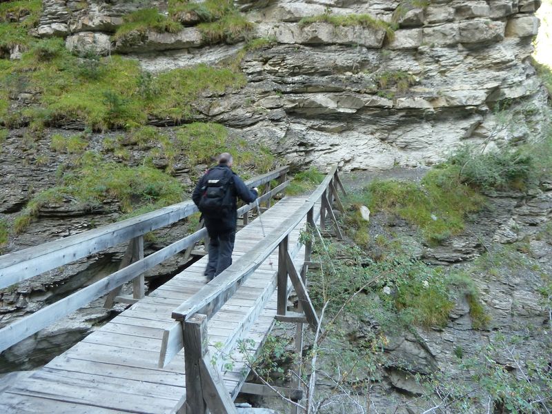 congerman_2011_013.jpg