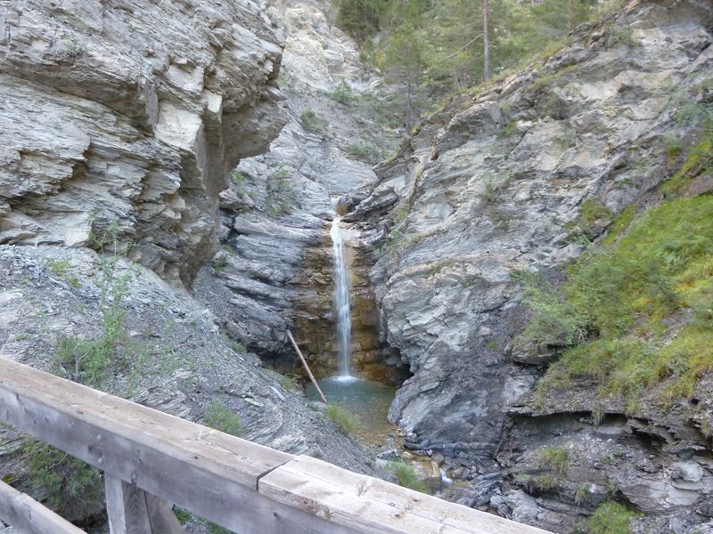 congerman_2011_015.jpg