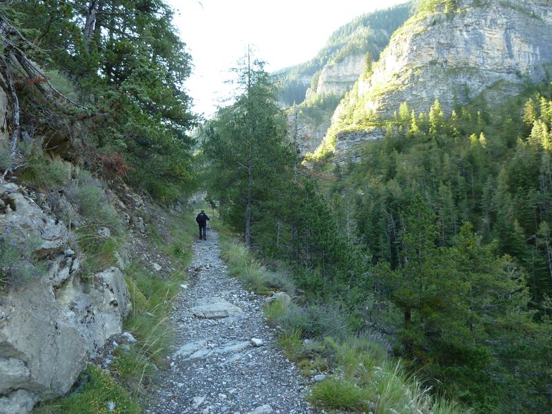 congerman_2011_017.jpg