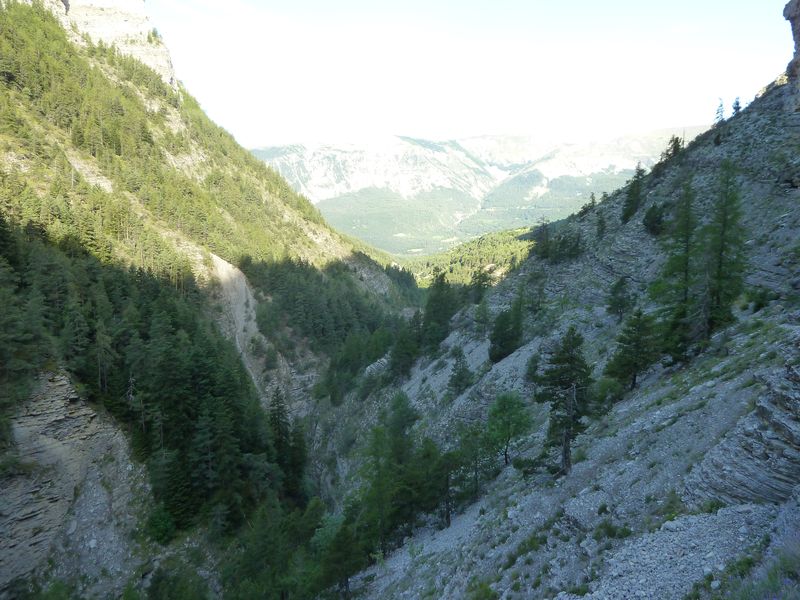 congerman_2011_023.jpg