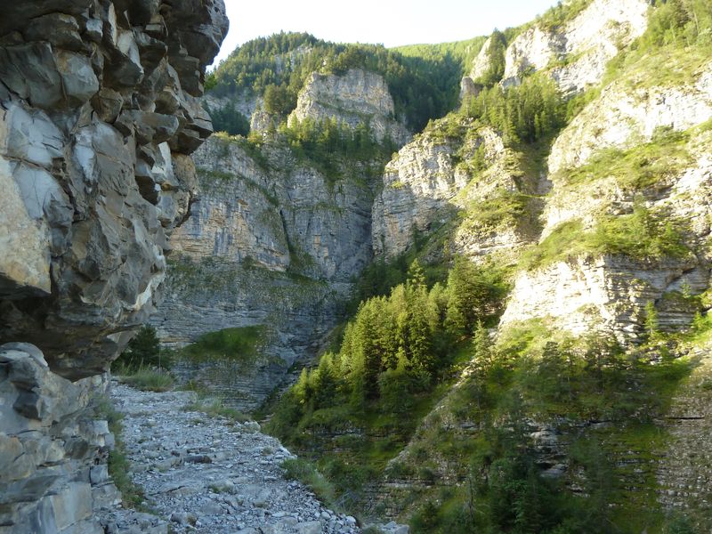 congerman_2011_025.jpg
