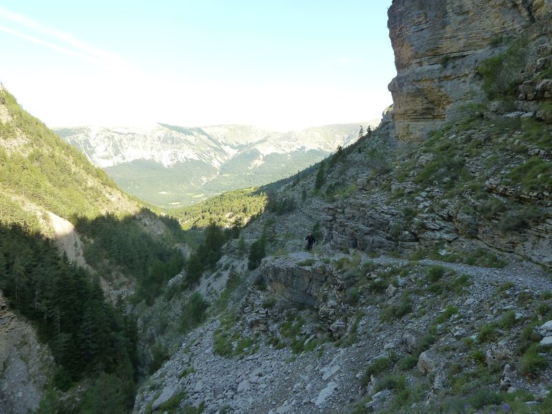 congerman_2011_027.jpg