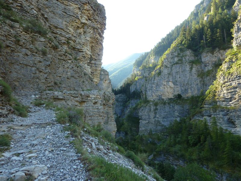 congerman_2011_029.jpg