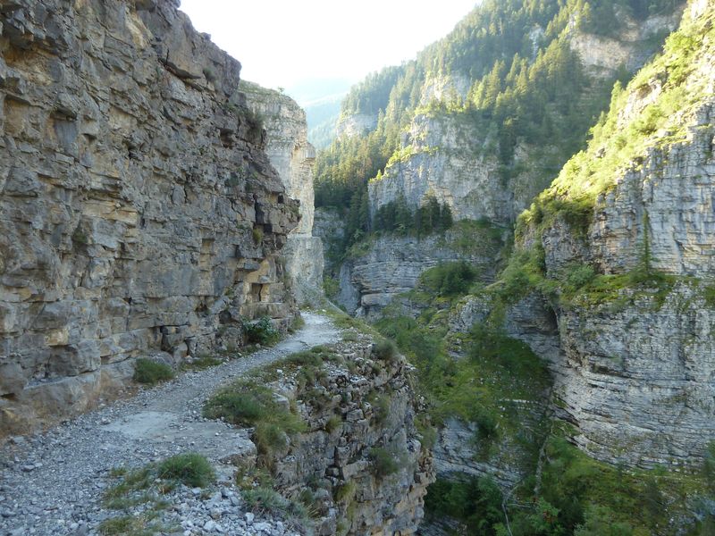 congerman_2011_041.jpg
