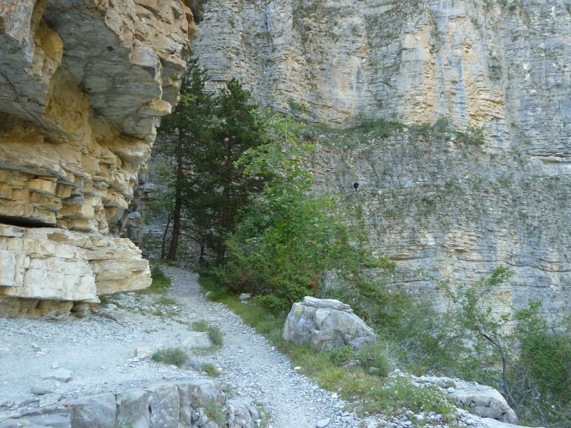 congerman_2011_043.jpg
