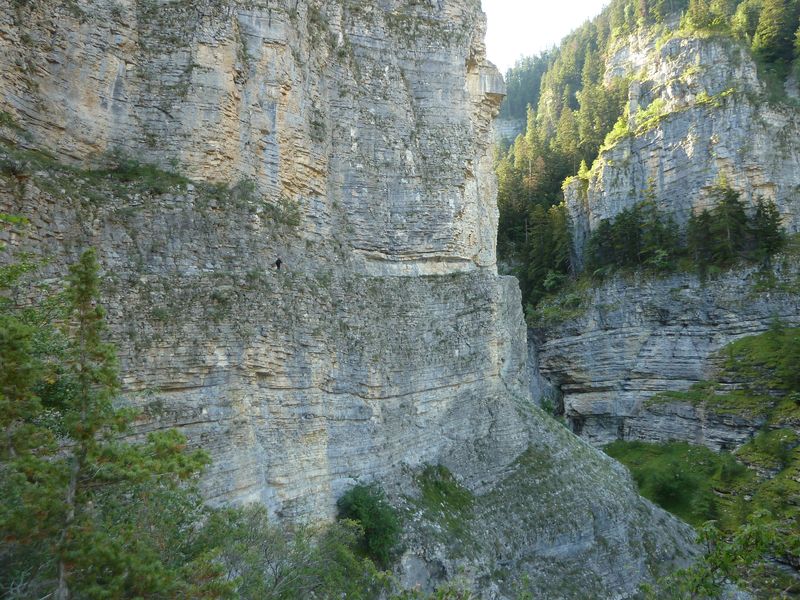 congerman_2011_045.jpg