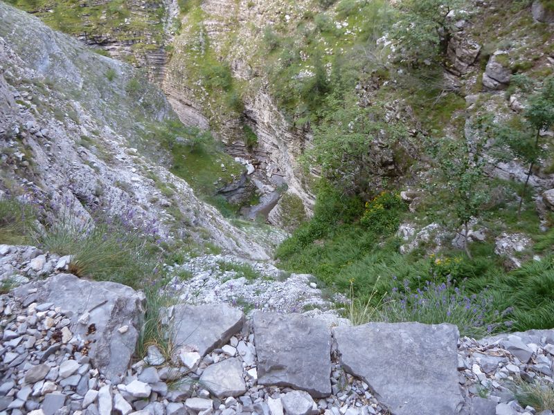 congerman_2011_049.jpg