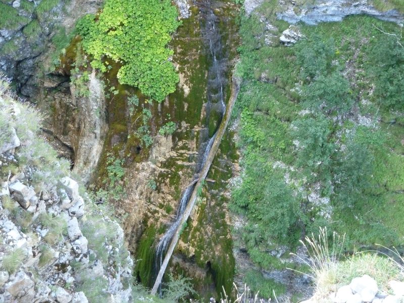 congerman_2011_057.jpg
