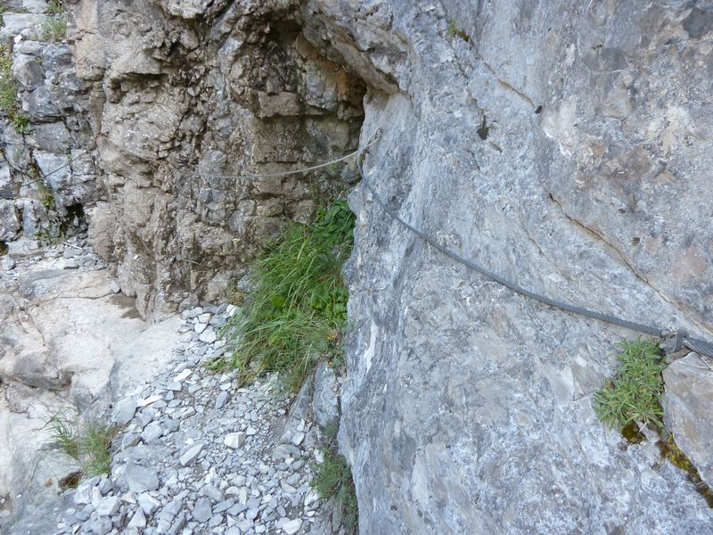 congerman_2011_061.jpg