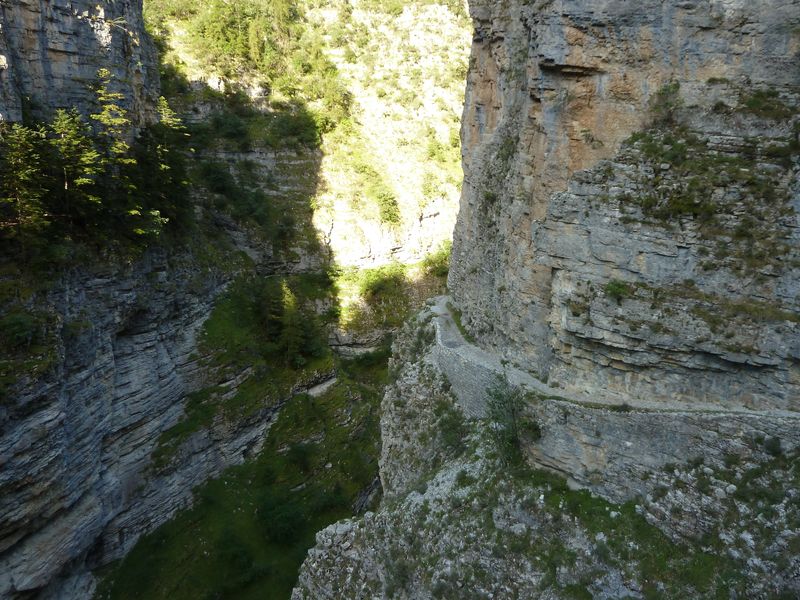 congerman_2011_063.jpg