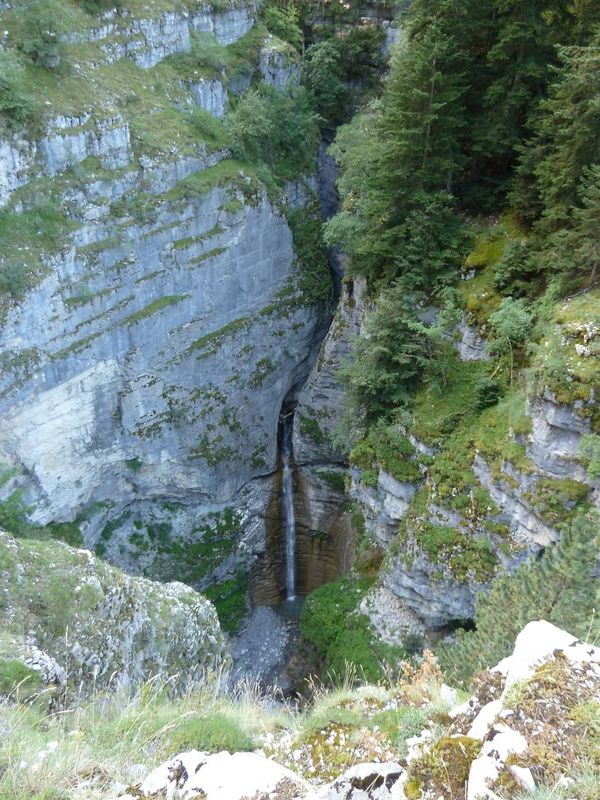 congerman_2011_067.jpg