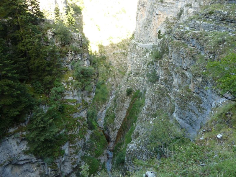 congerman_2011_071.jpg